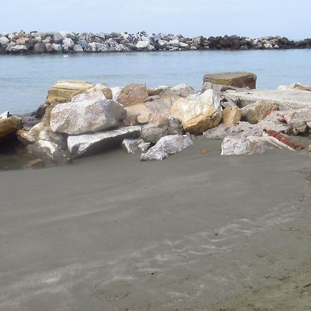 La Coccinella Daire Marina Di Pisa Dış mekan fotoğraf