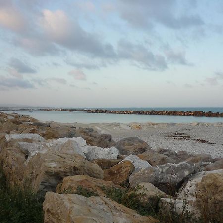 La Coccinella Daire Marina Di Pisa Dış mekan fotoğraf