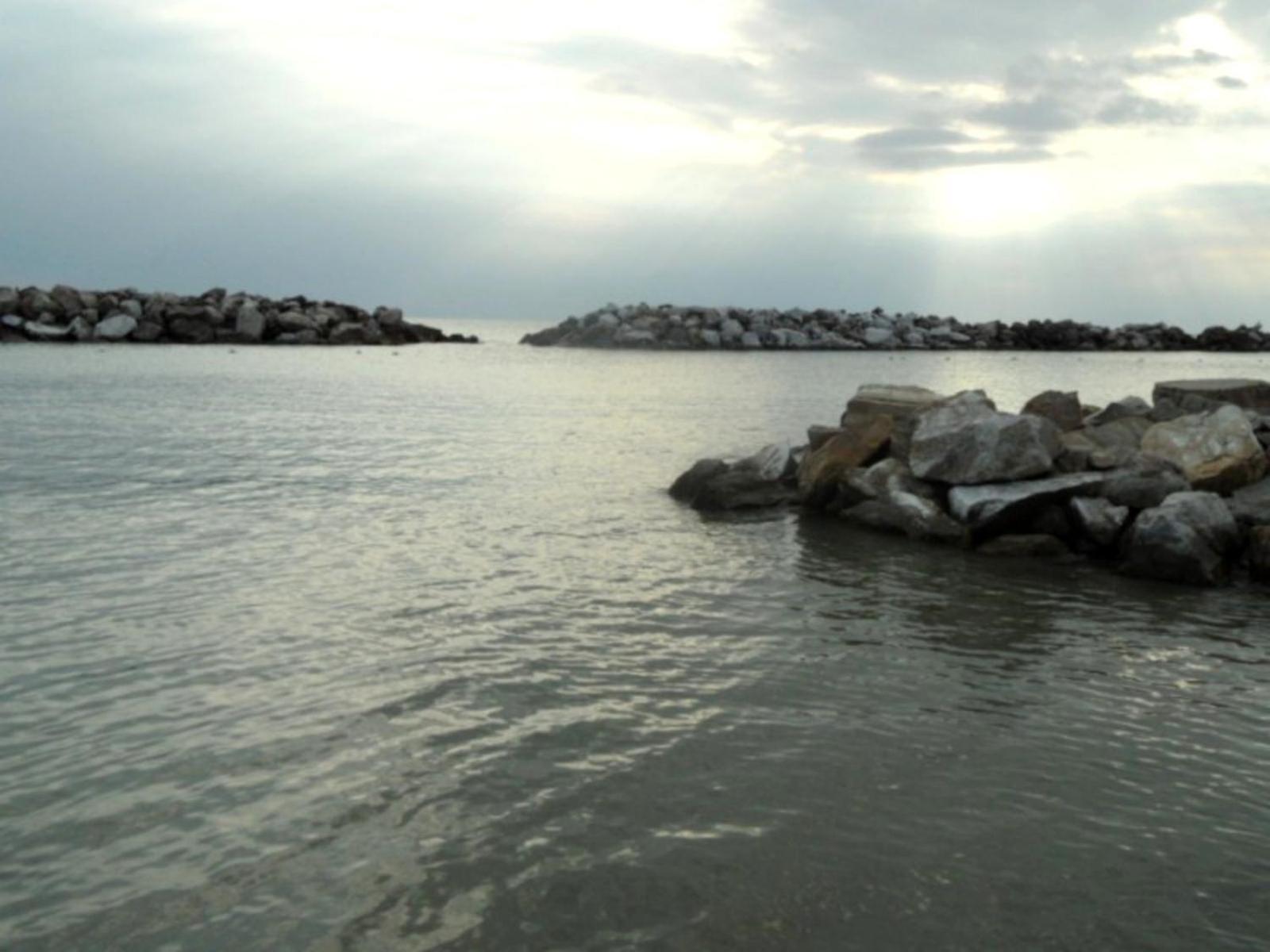 La Coccinella Daire Marina Di Pisa Dış mekan fotoğraf