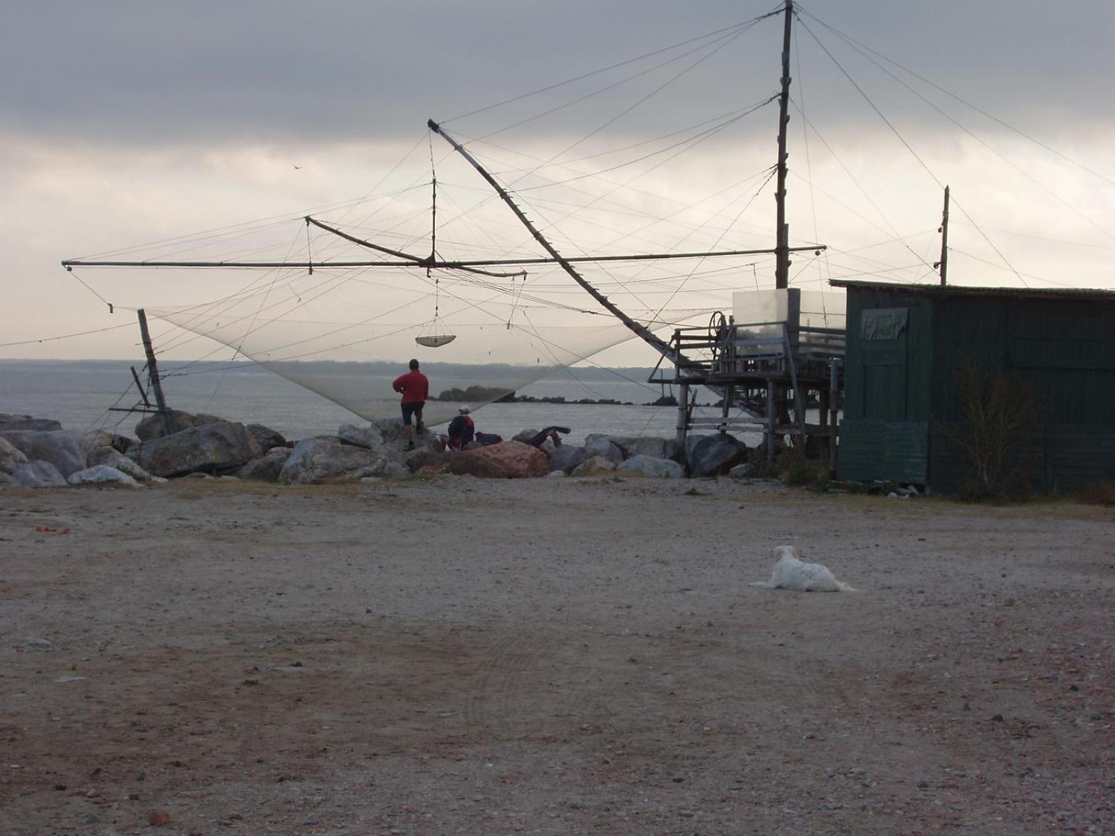 La Coccinella Daire Marina Di Pisa Dış mekan fotoğraf