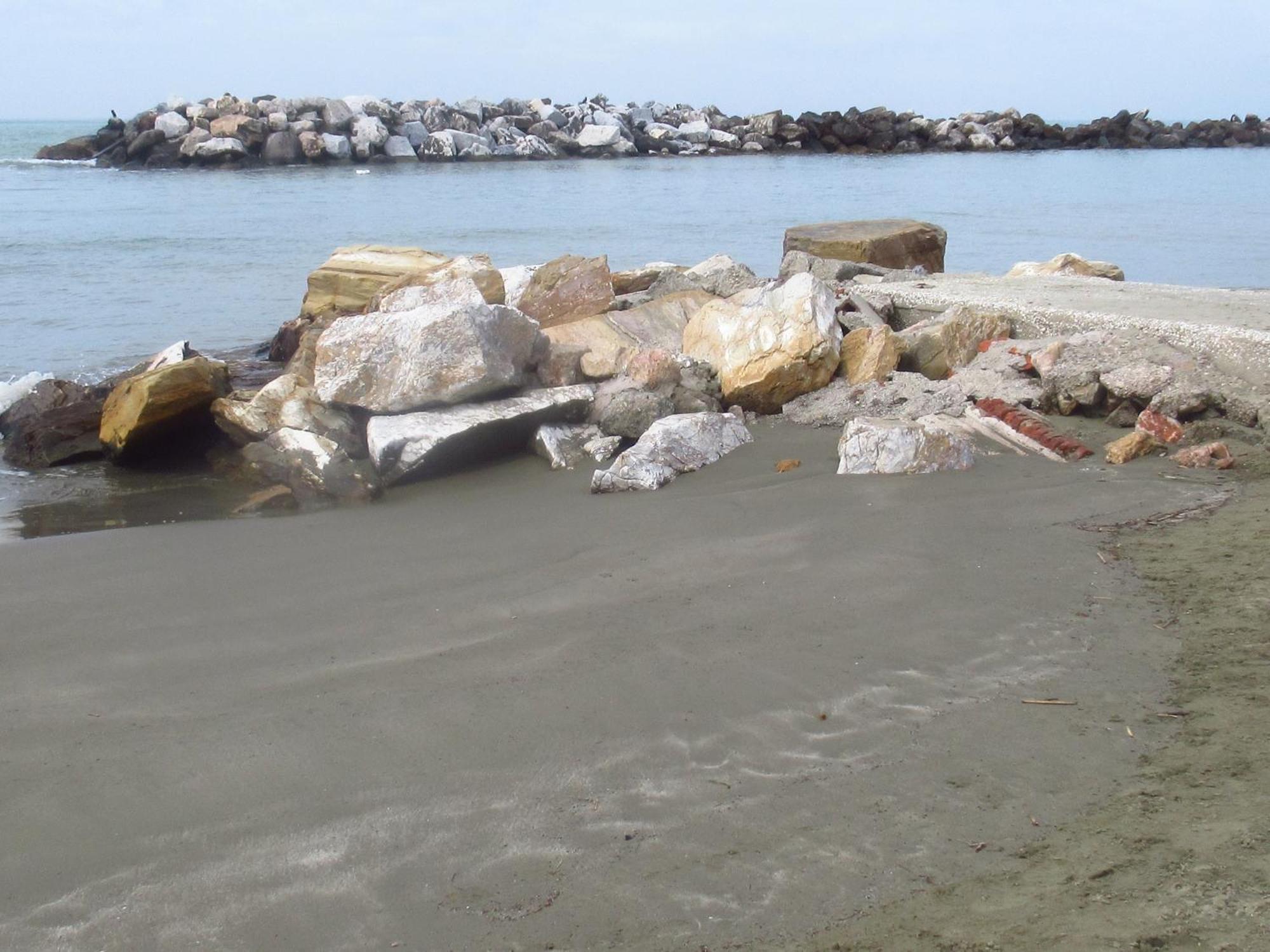 La Coccinella Daire Marina Di Pisa Dış mekan fotoğraf