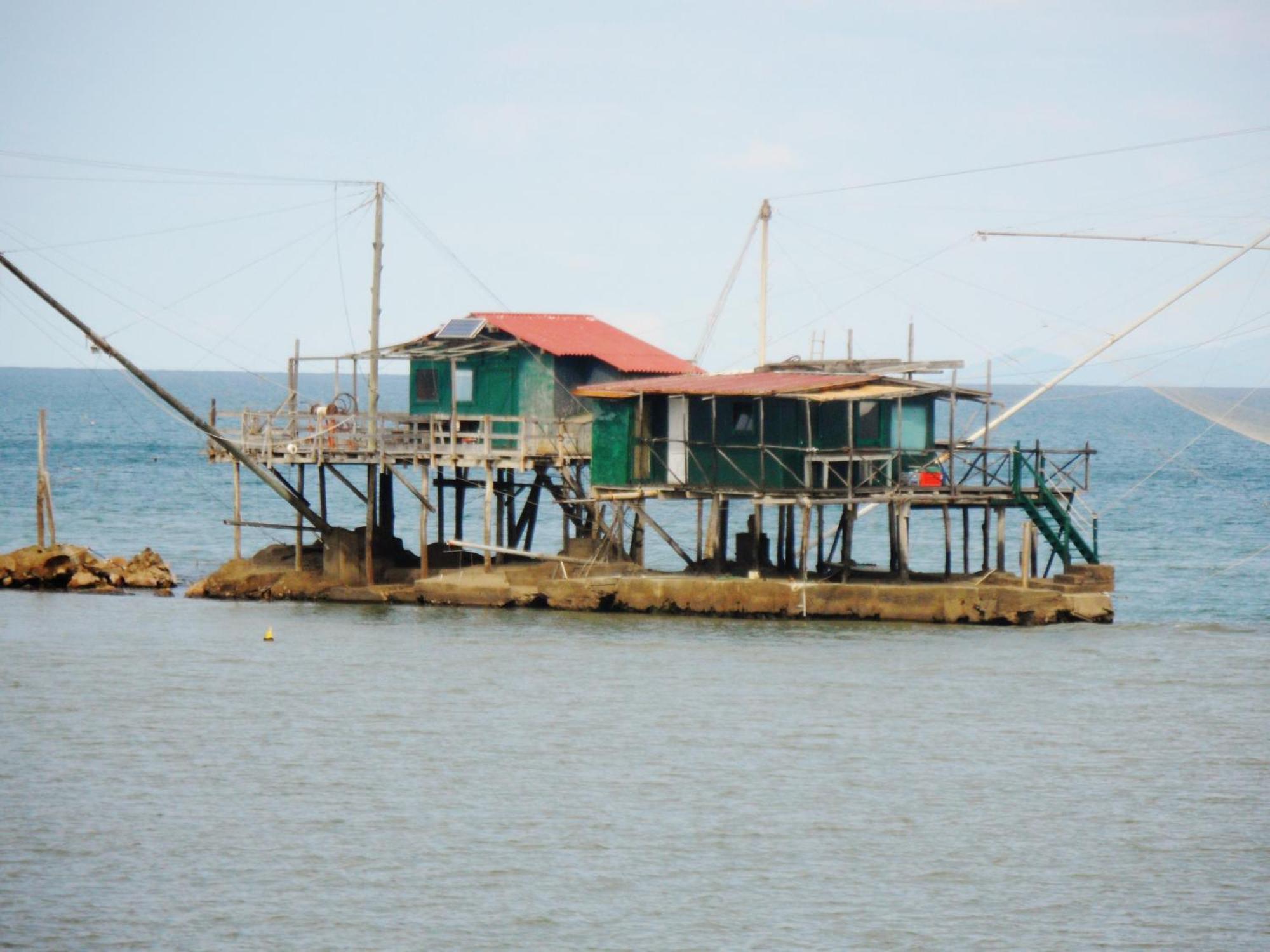 La Coccinella Daire Marina Di Pisa Dış mekan fotoğraf