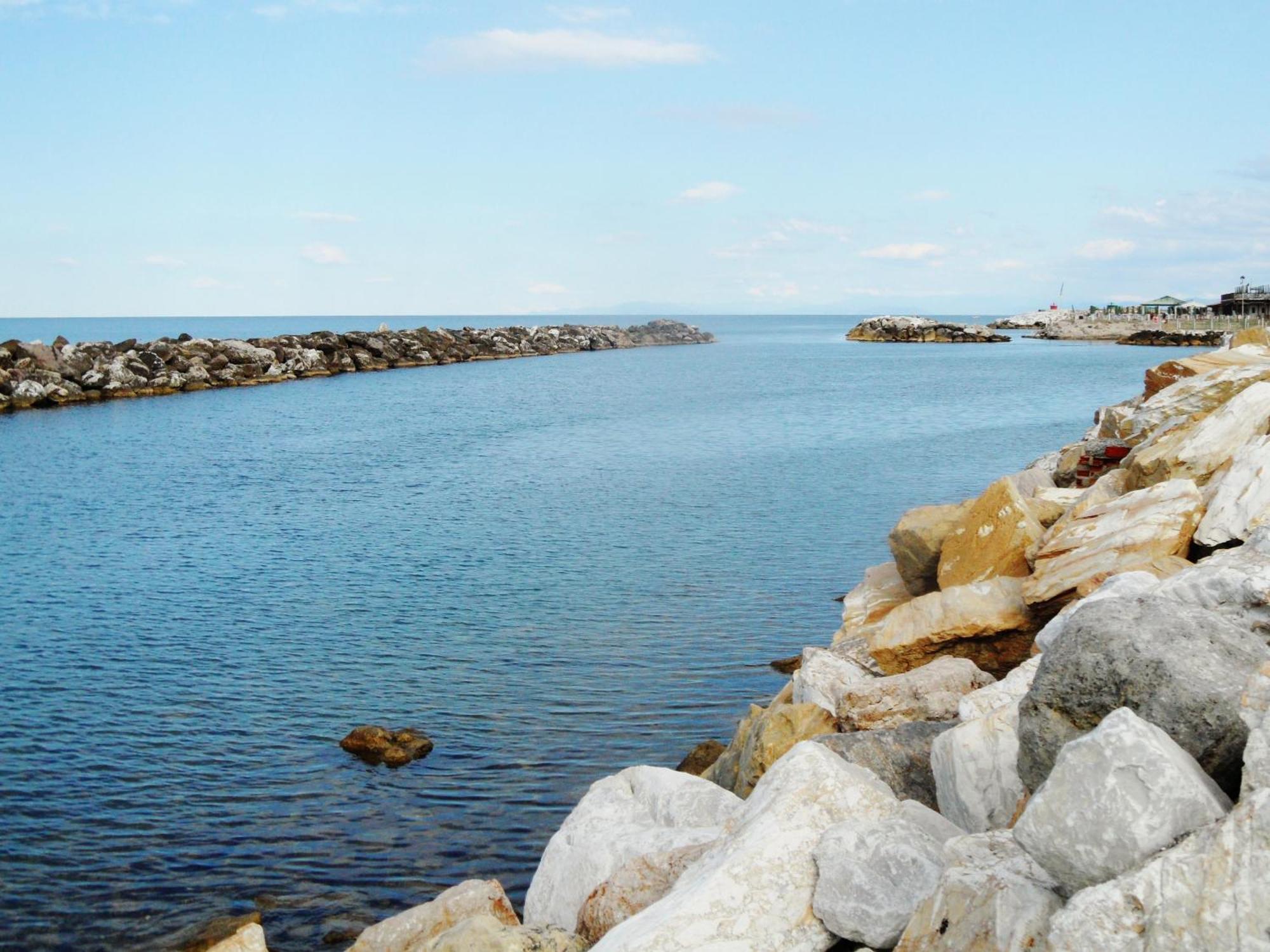 La Coccinella Daire Marina Di Pisa Dış mekan fotoğraf