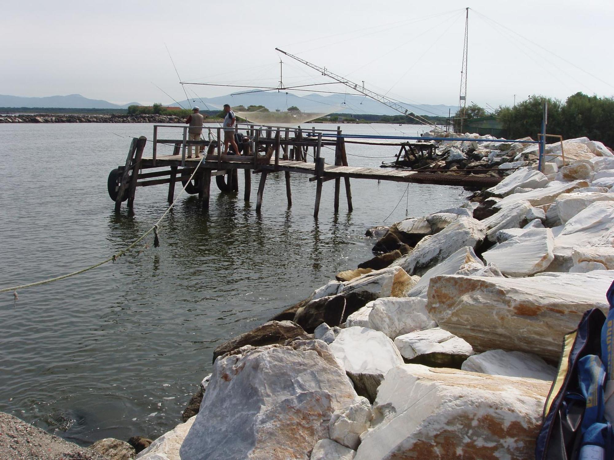 La Coccinella Daire Marina Di Pisa Dış mekan fotoğraf