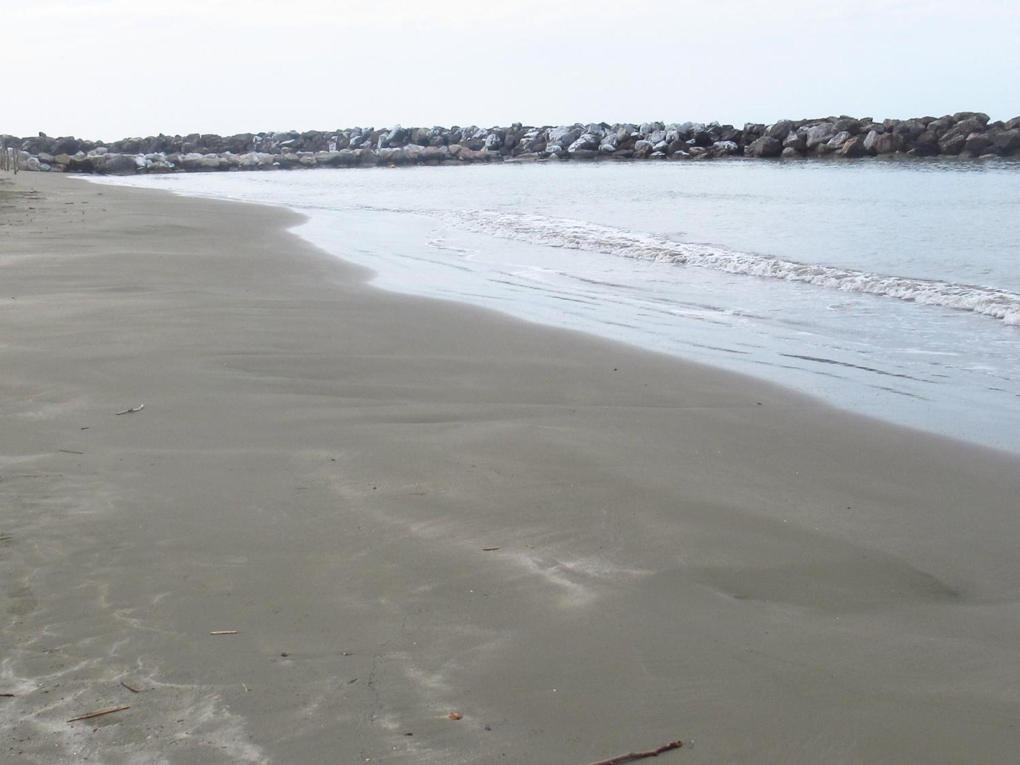 La Coccinella Daire Marina Di Pisa Dış mekan fotoğraf