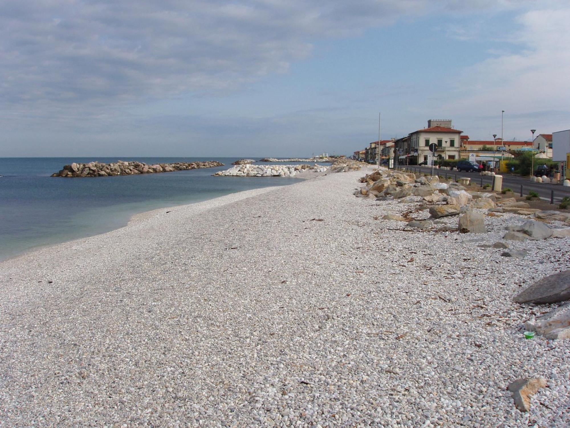 La Coccinella Daire Marina Di Pisa Dış mekan fotoğraf