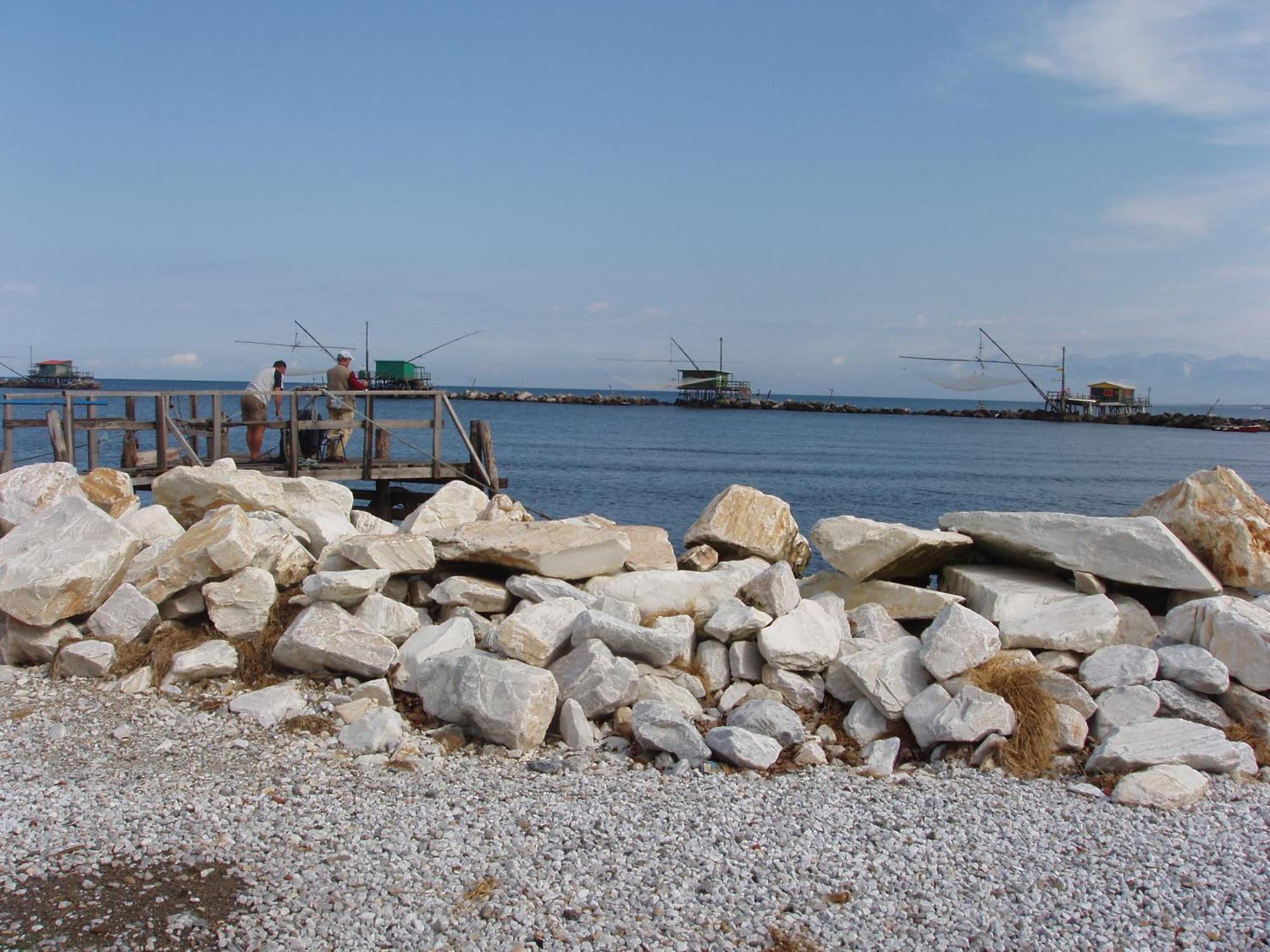 La Coccinella Daire Marina Di Pisa Dış mekan fotoğraf